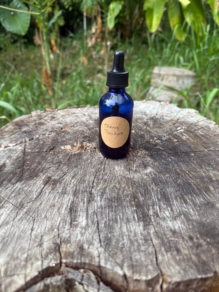 ʻŌlena Tincture – Farm-Grown Hawaiian Turmeric Elixir
