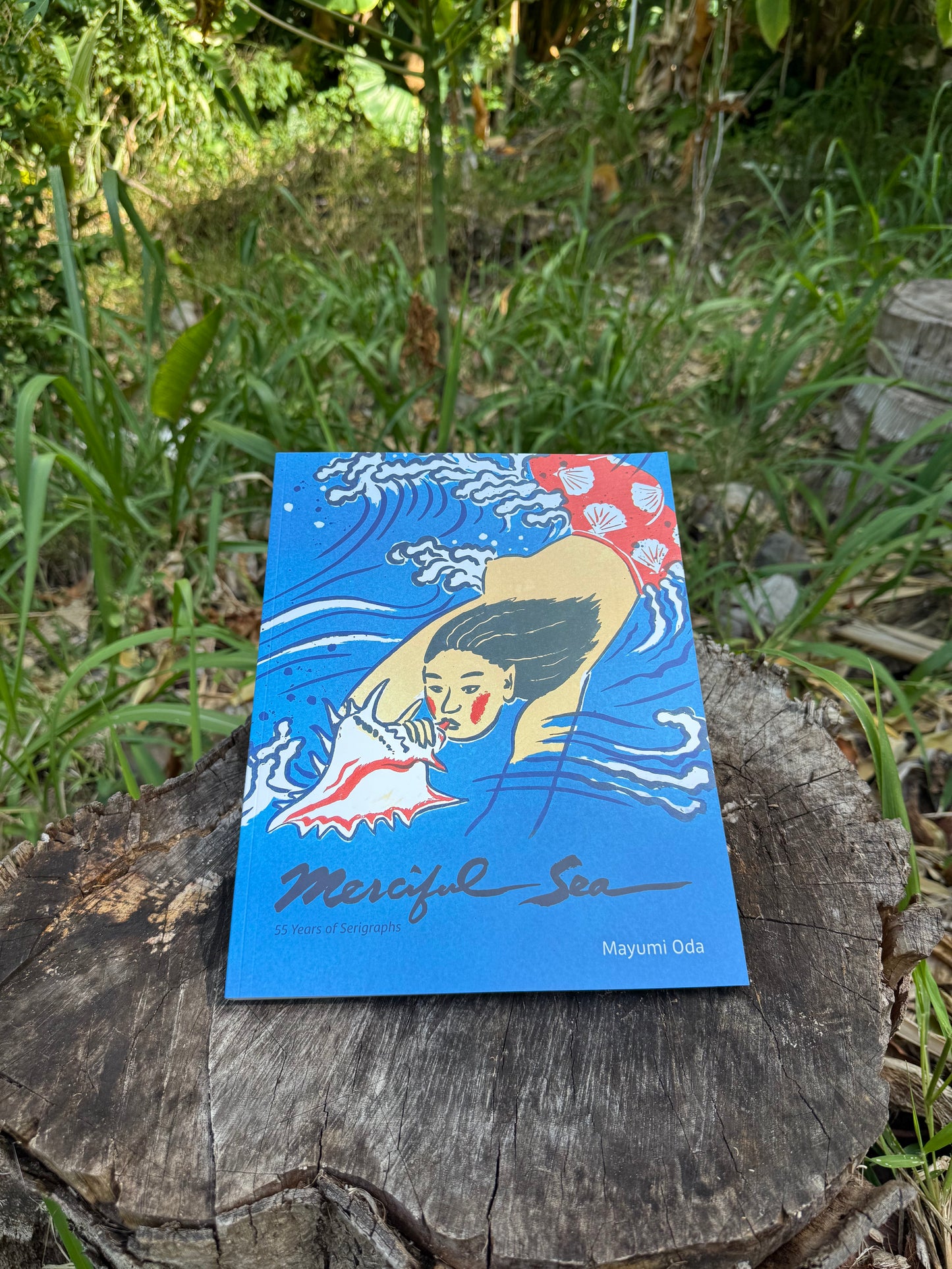 Book Merciful Sea by Mayumi Oda