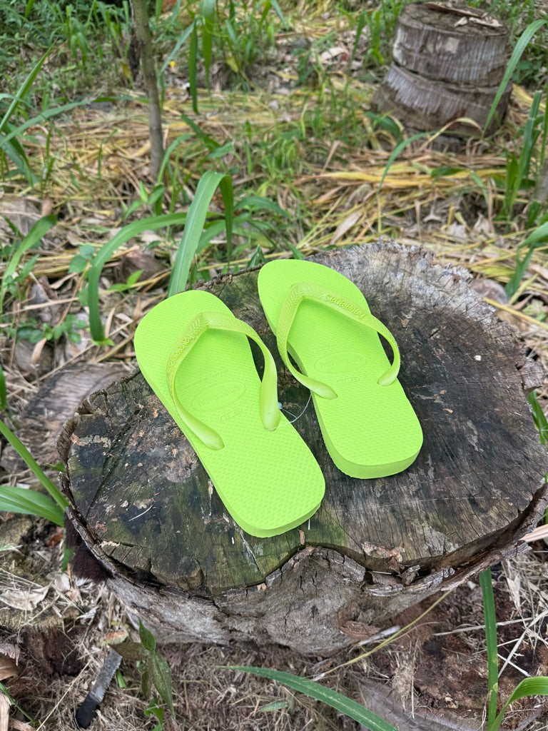 Flip Flops – Havaianas