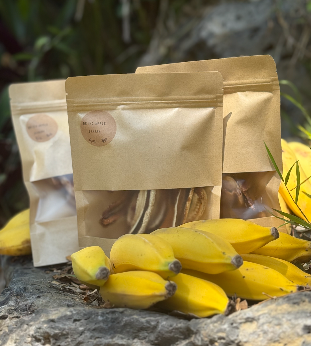 Gingerhill Farm Dried Apple Bananas