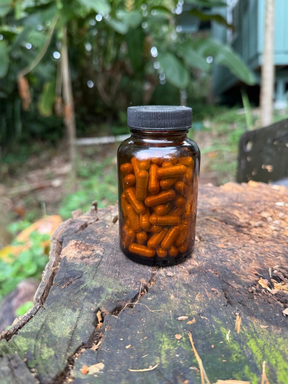 ʻŌlena Capsules – Hawaiian Turmeric